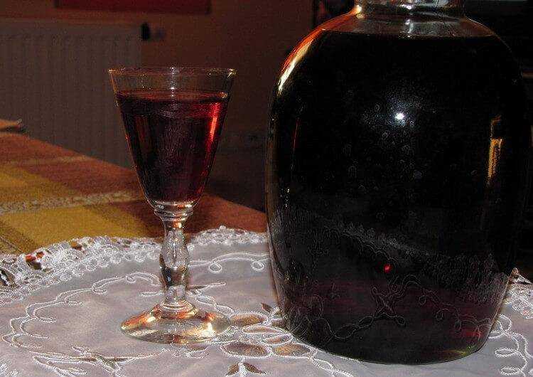 Как сделать домашнее вино из терна и лучший рецепт напитка из винограда изабелла