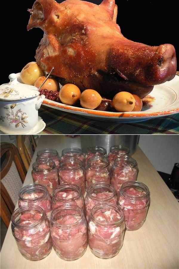 Прессованное мясо из свиной головы рецепт с фото - 1000.menu