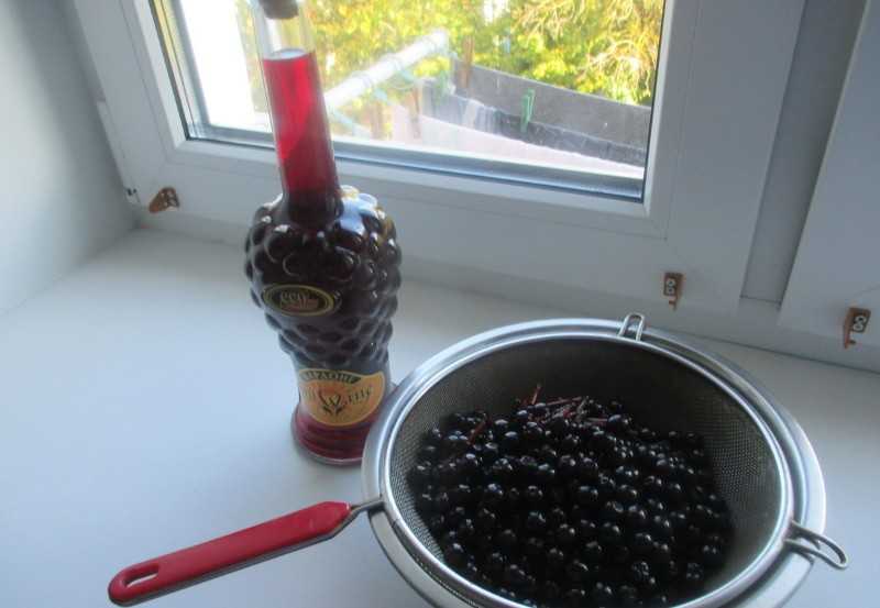 Вино из черноплодной рябины в домашних условиях: 7 простых пошаговых рецептов