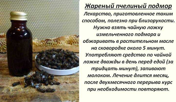 Пчелиный подмор, настойка на водке, при каких болезнях поможет
