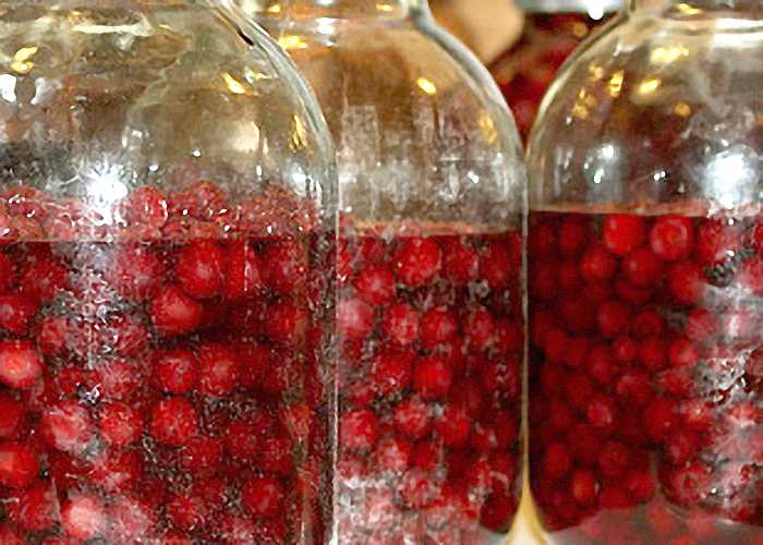 Вишневая наливка - как приготовить в домашних условиях из свежих и замороженных ягод по рецептам с фото