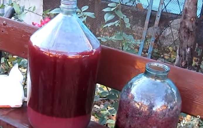 Виноградная брага из жмыха или сока для самогона ⋆ рецепты домашнего алкоголя