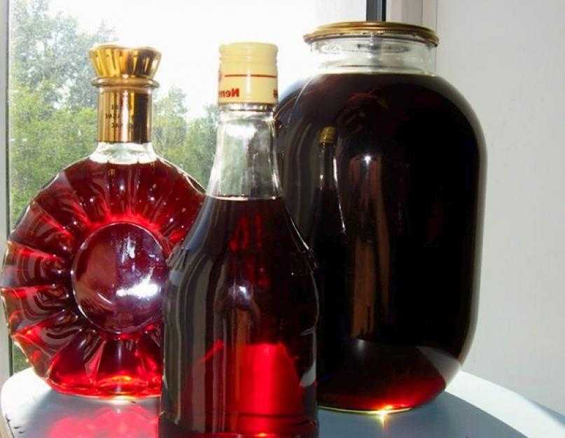 Настойка из черноплодной рябины — пошаговые рецепты приготовления в домашних условиях на водке или спирту