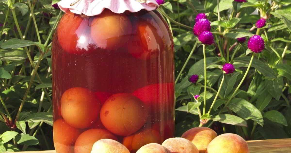 Компот из свежего инжира на зиму: польза, рецепты с яблоками, с виноградом, с малиной