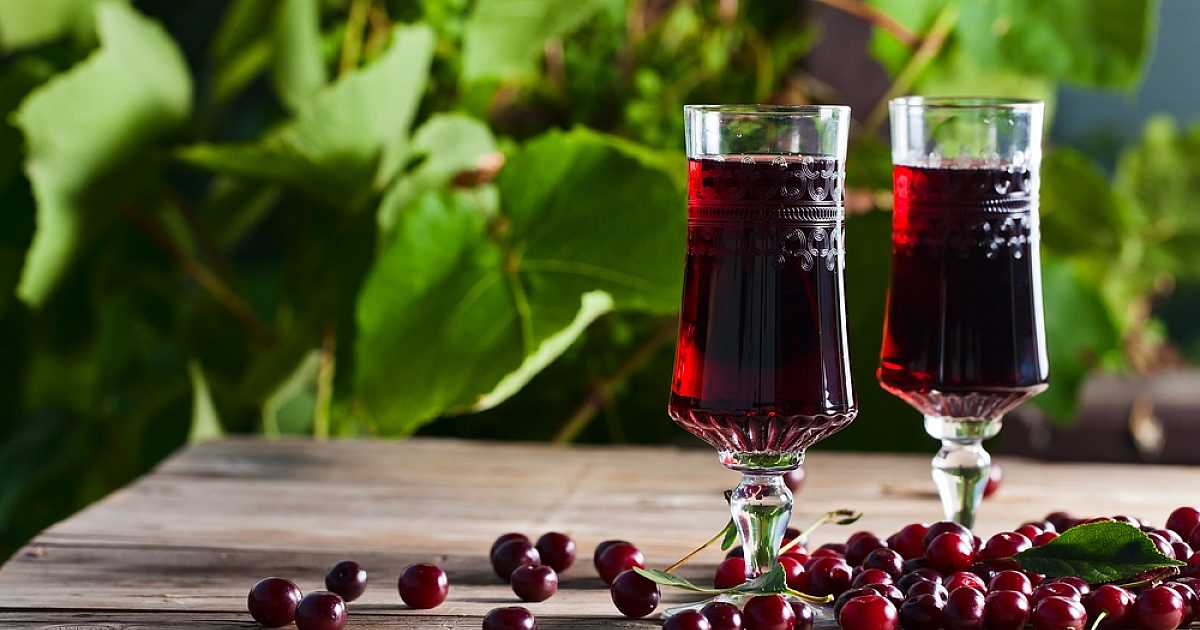 Домашнее вино из ирги: как приготовить напиток самостоятельно