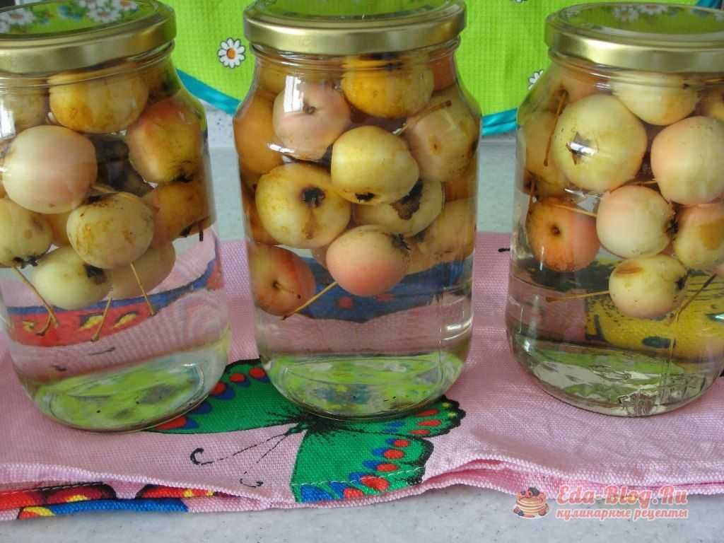 Самый полезный компот из черноплодной рябины – классический рецепт, варианты с малиной, сливой, яблоками