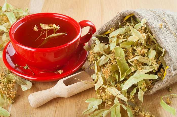 Готовим чай из листьев и ягод земляники
