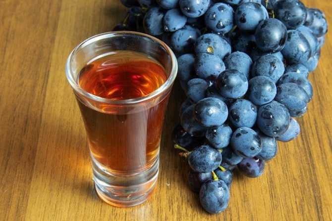 Ликер из виноградного сока на спирту. наливка из винограда — рецепт без водки. рецепт классической настойки из винограда