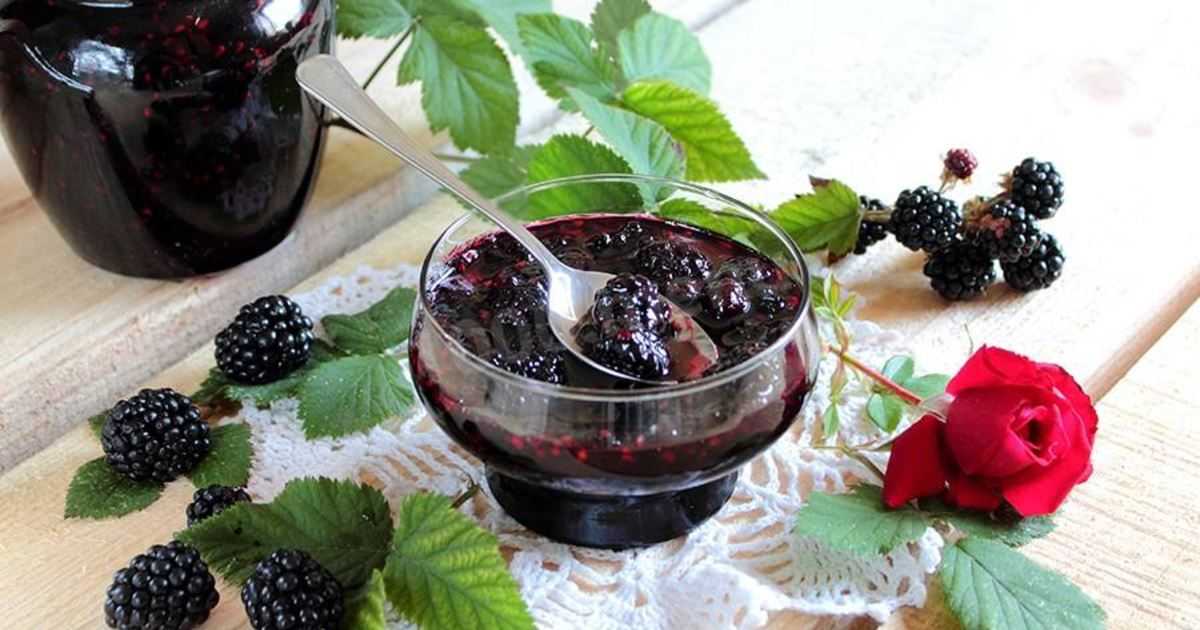 Мусс из черной смородины и ежевики - рецепт с фотографиями - patee. рецепты