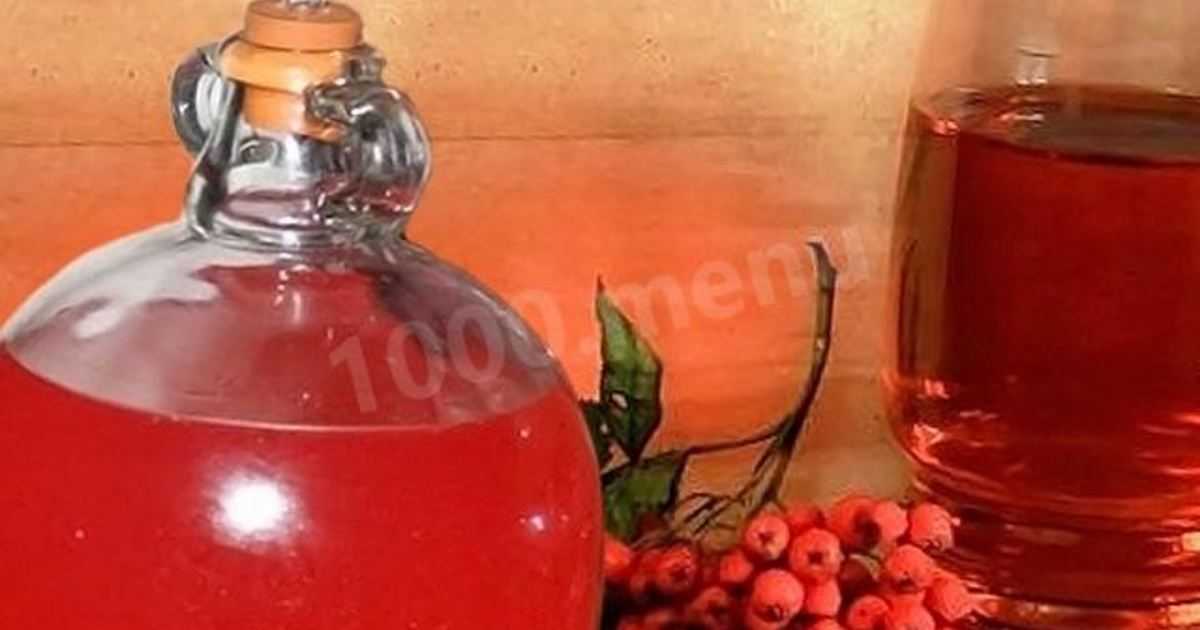 Рецепт приготовления вина из красной рябины в домашних условиях