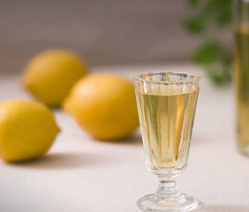 Лимонная настойка на водке по проверенным рецептам: необходимая техника и утварь, технология производства и полезные свойства напитка, противопоказания для употребления