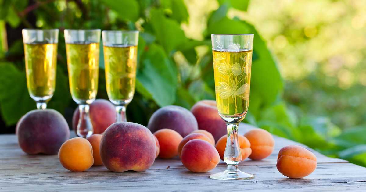Как сделать вино из абрикосового варенья
