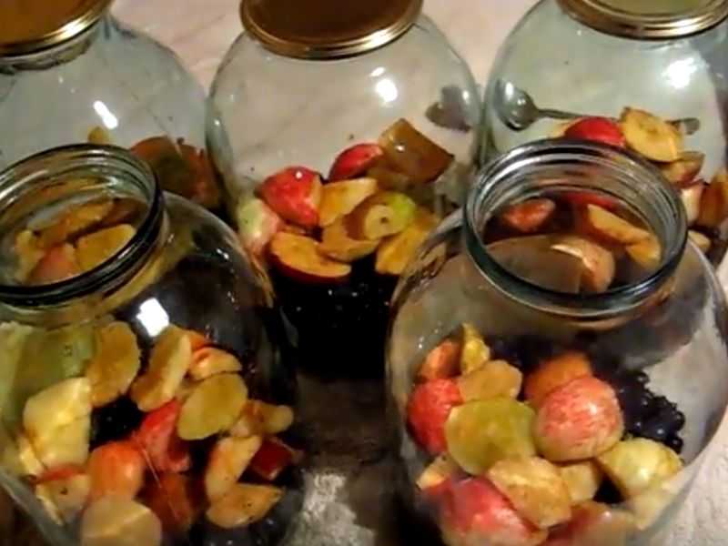 Топ 10 рецептов компота на зиму из яблок и черноплодной рябины