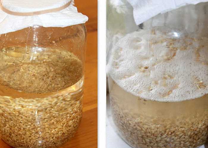 Самогон из риса: 5 рецептов в домашних условиях