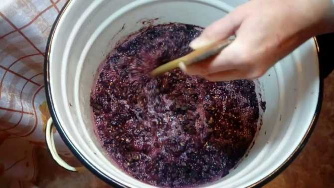Топ 7 рецептов приготовления вина из красного винограда в домашних условиях
