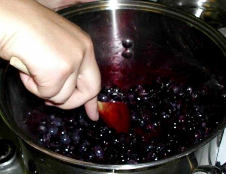 Простые пошаговые рецепты приготовления вкусного домашнего вина из слив