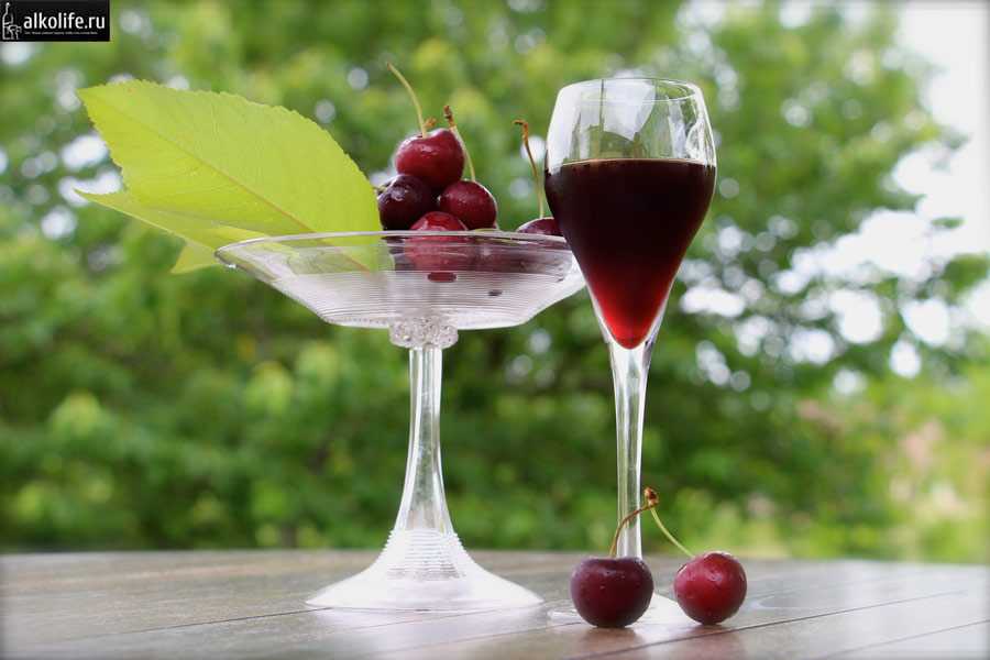 Вино из вишни в домашних условиях: 8 простых рецептов