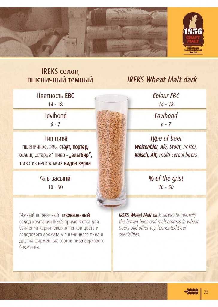 Пшеничное пиво: состав, калорийность и приготовление в домашних условиях