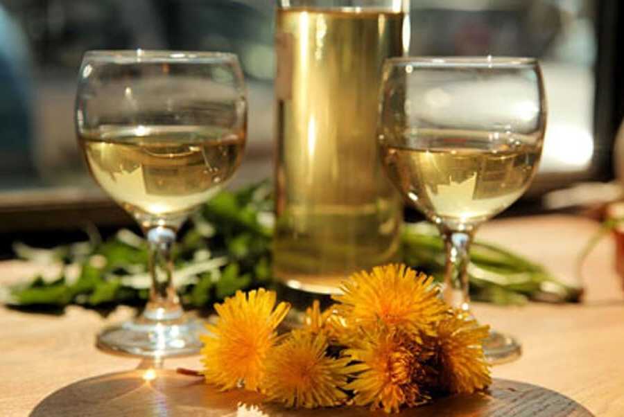 Как сделать вино из одуванчиков — 3 рецепта домашнего вина