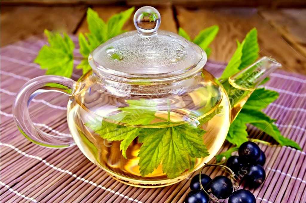 Чай из листьев малины: рецепт при температуре и простуде