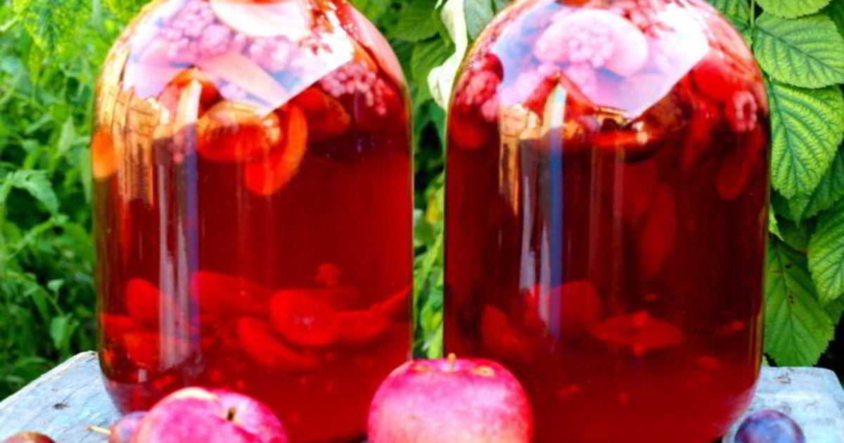 Компот из слив и яблок: лучшие проверенные рецепты на зиму