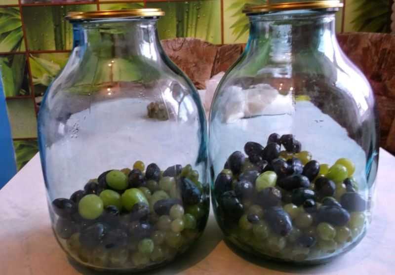 Компот из винограда на зиму – рецепты консервированного и сваренного в кастрюле