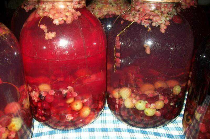 Компот из ассорти фруктов на зиму: рецепты заготовок из свежих фруктов и ягод, как приготовить напиток?