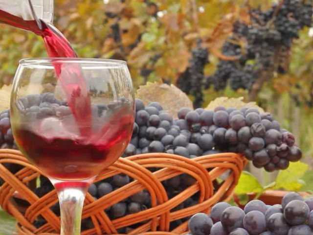 Рецепты домашнего вина из винограда изабелла