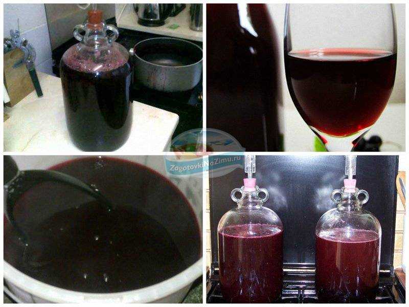 Простые рецепты приготовления вина из замороженных ягод в домашних условиях