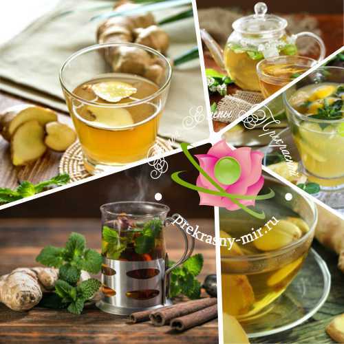 Имбирный чай — рецепты, с медом, лимоном