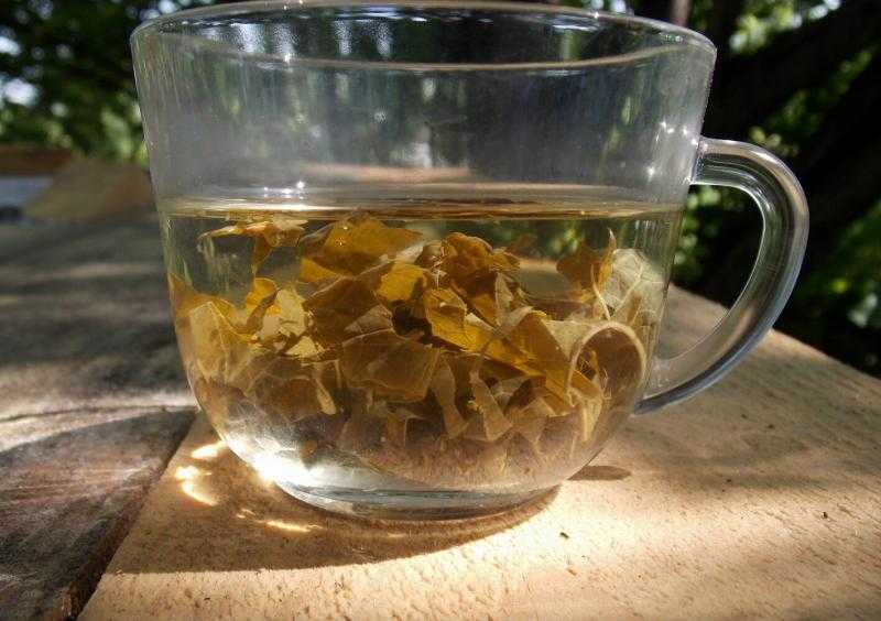 Ферментированный чай из листьев клубники рецепт с фото - 1000.menu