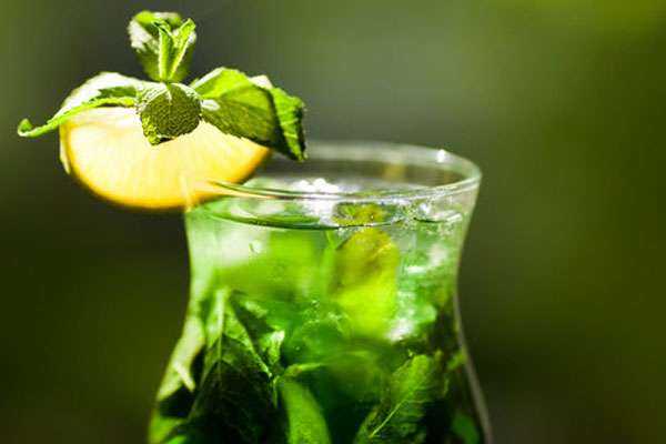Напиток тархун (лимонад, чай, сок, настойка, вода): польза и вред, как сделать в домашних условиях, рецепты