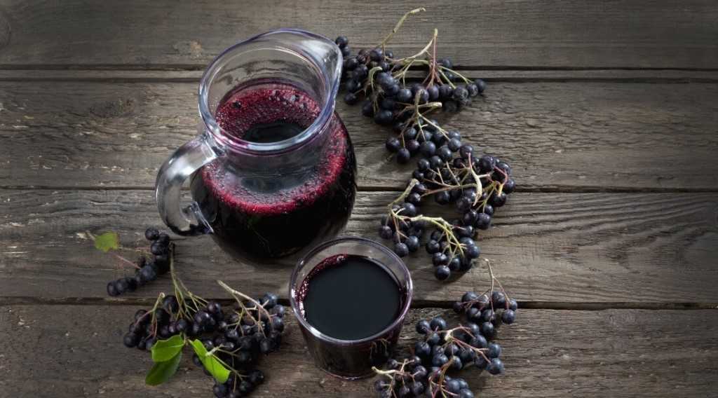 Компот из черноплодной рябины – пошаговый рецепт с фото в домашних условиях, польза напитка из черноплодки