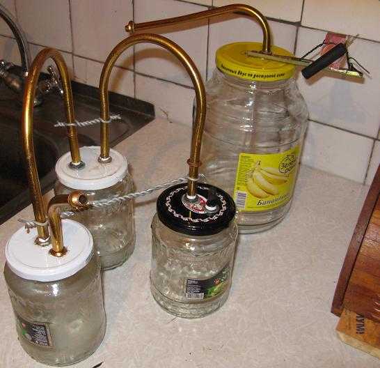 Как приготовить можжевеловую водку в домашних условиях