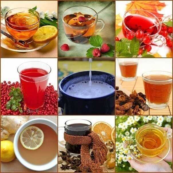 Ферментированный чай: как сделать травяной или фруктовый напиток в домашних условиях