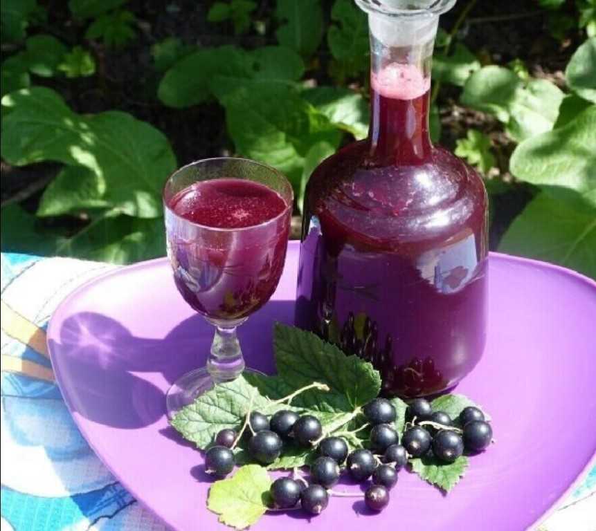 Вино из черной смородины в домашних условиях: рецепт с фото пошагово