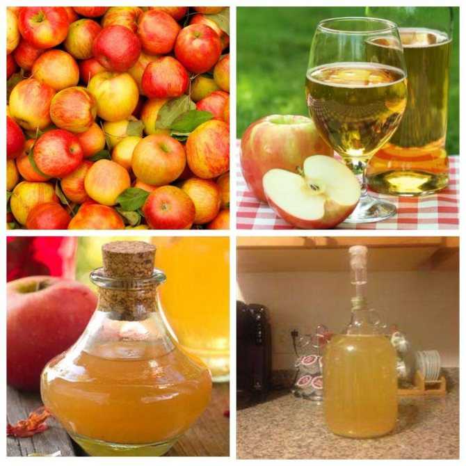 Яблочное вино — пошаговый рецепт с фото
