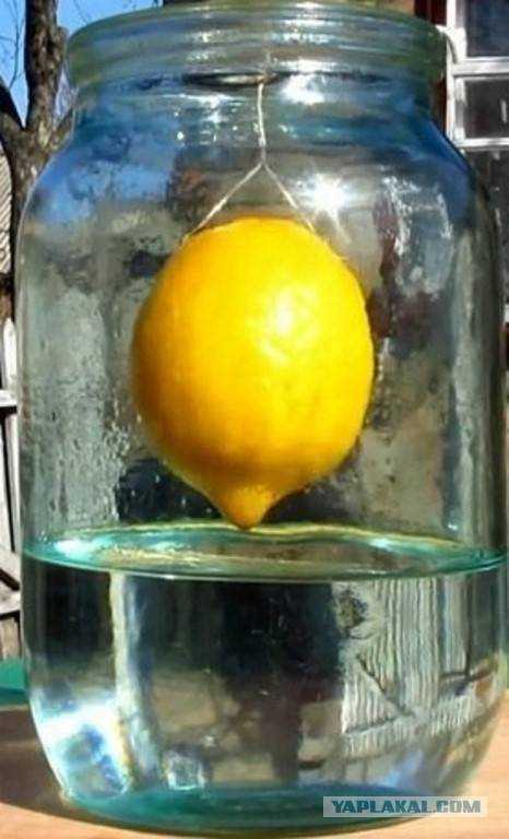 Как приготовить лимонную настойку на водке или спирту в домашних условиях