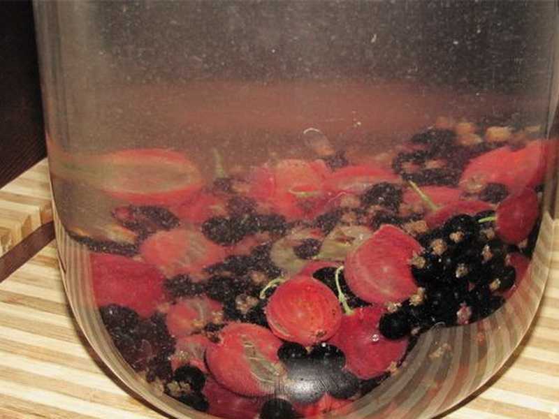 Компот из ассорти фруктов на зиму: рецепты заготовок из свежих фруктов и ягод, как приготовить напиток?