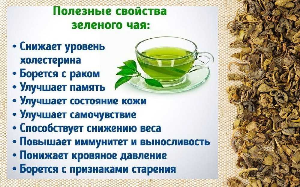 Польза чая с шалфеем, как заваривать и как пить, противопоказания. можно ли пить шалфей как чай: лечебное действие настоя