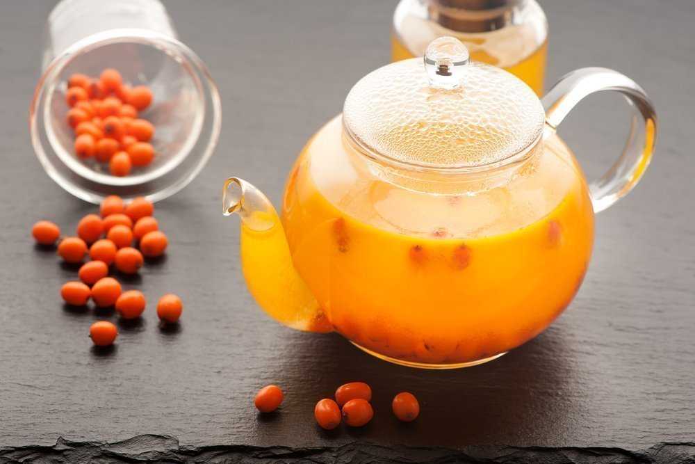 Облепиховый чай: лучшие рецепты приготовления полезного чая