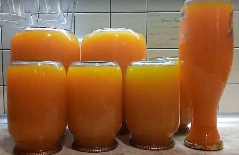 Персиковый сок - рецепты приготовления с описанием, особенности, советы. сок на соковыжималке, с мякотью, с яблоками. секреты удачного приготовления сока