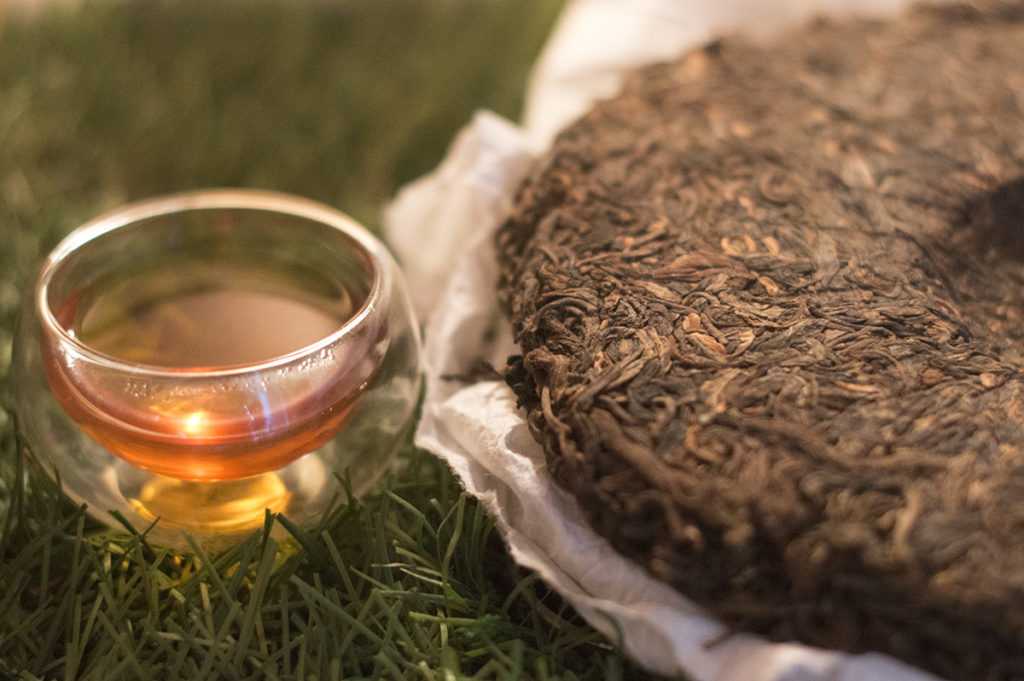 Монгольский чай, особенности необычного напитка