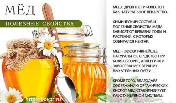 Калина с мёдом: полезные свойства и противопоказания, рецепты приготовления, применение для лечения кашля и других заболеваний