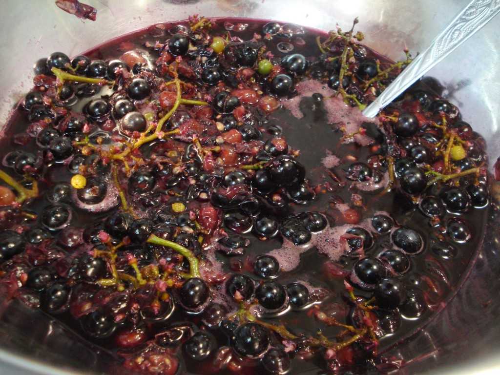 Желе из винограда на зиму: рецепт и фото