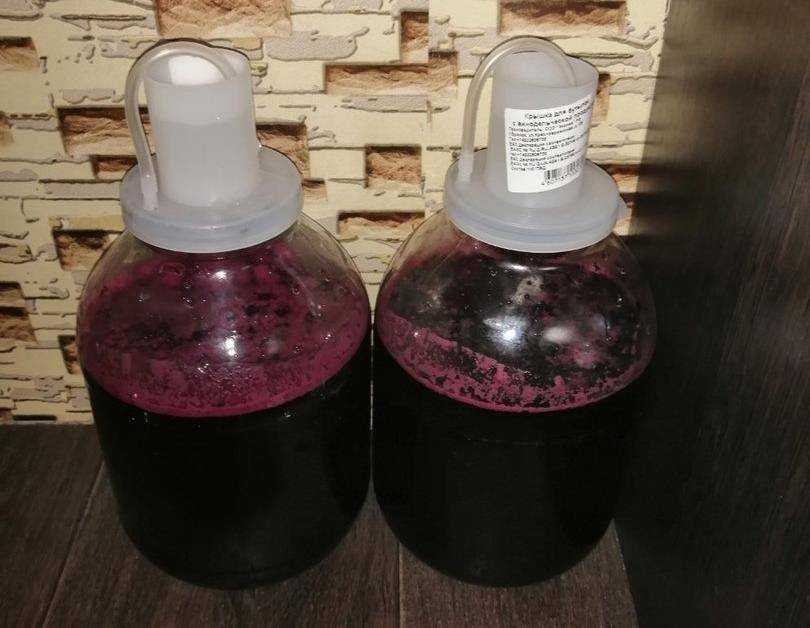 Вино из винограда лидия: 7 лучших рецептов приготовления в домашних условиях