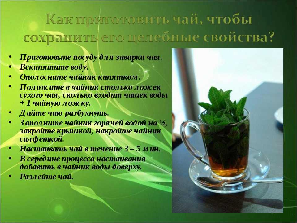 Черный чай с мятой рецепт с фото пошагово - 1000.menu