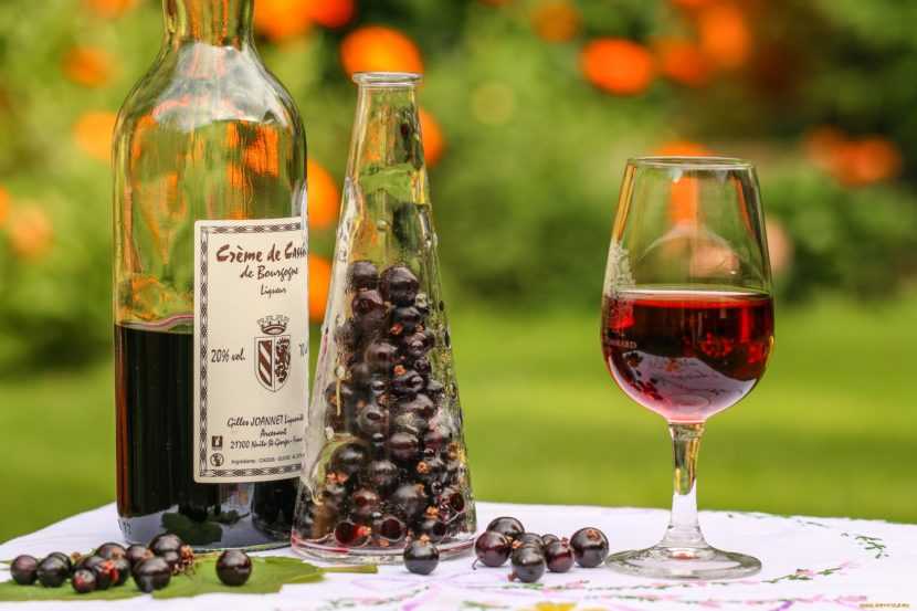 Вино из смородины белой: 4 простых пошаговых рецепта приготовления в домашних условиях