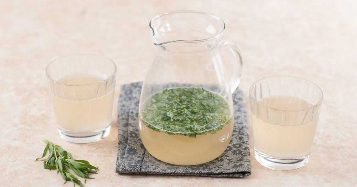 Как сделать лимонад тархун в домашних условиях — рецепты и секреты приготовления