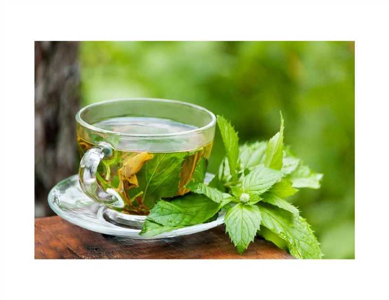 Чай из листьев земляники польза как заваривать от чего пьют